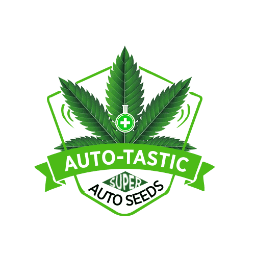 Auto-Tastic Cannabis Seeds
