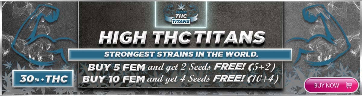 Sensible Seeds proudly presents the High THC Titans Cannabis Seeds