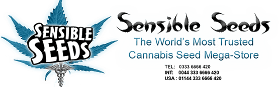 Sensible Seeds -The leading Online Supplier of Quality Cannabis Seeds