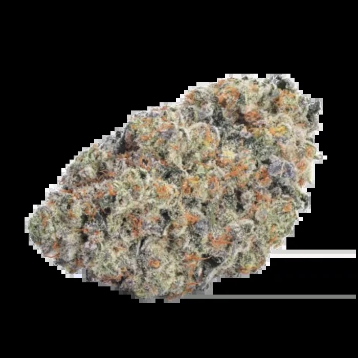 Growers Choice Seeds - Double Donny Burger Feminized