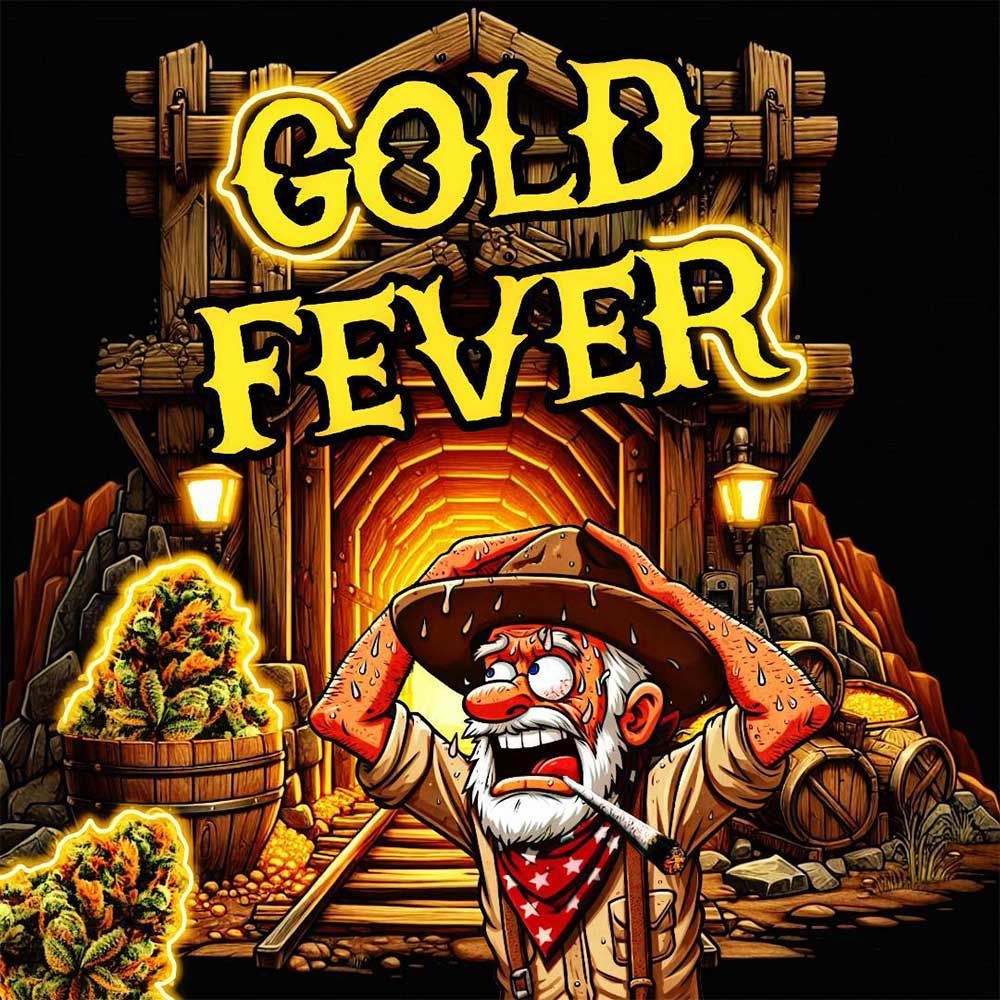 Holy Smoke Seeds - Gold Fever - Feminized