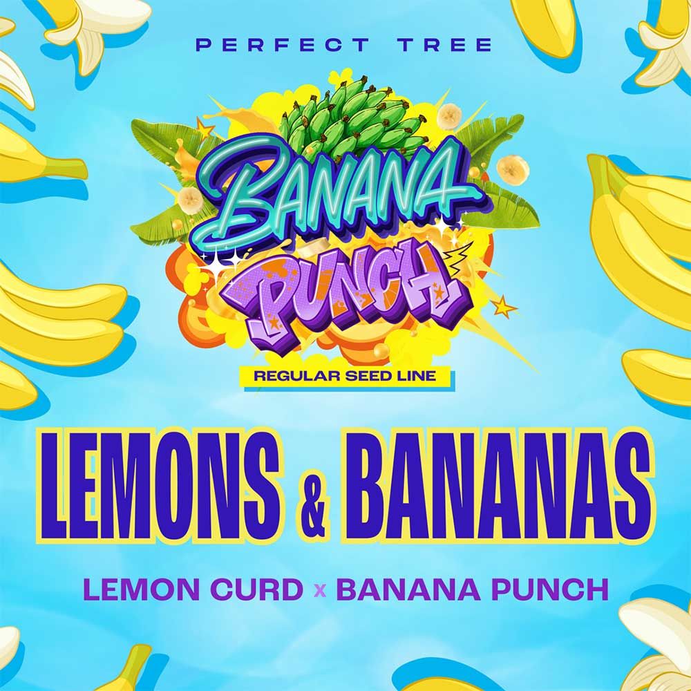 Perfect Tree Seeds - Lemons & Bananas - Regular 