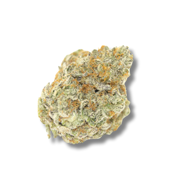 Growers Choice - Permanent Whitemarker - Feminized 