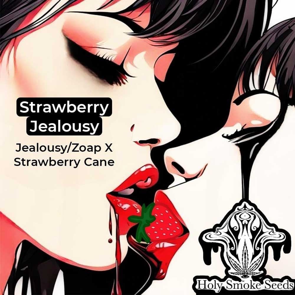 Holy Smoke Seeds - Strawberry Jealousy - Feminized 