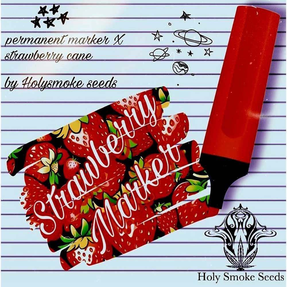 Holy Smoke Seeds - Strawberry Marker - Feminized 