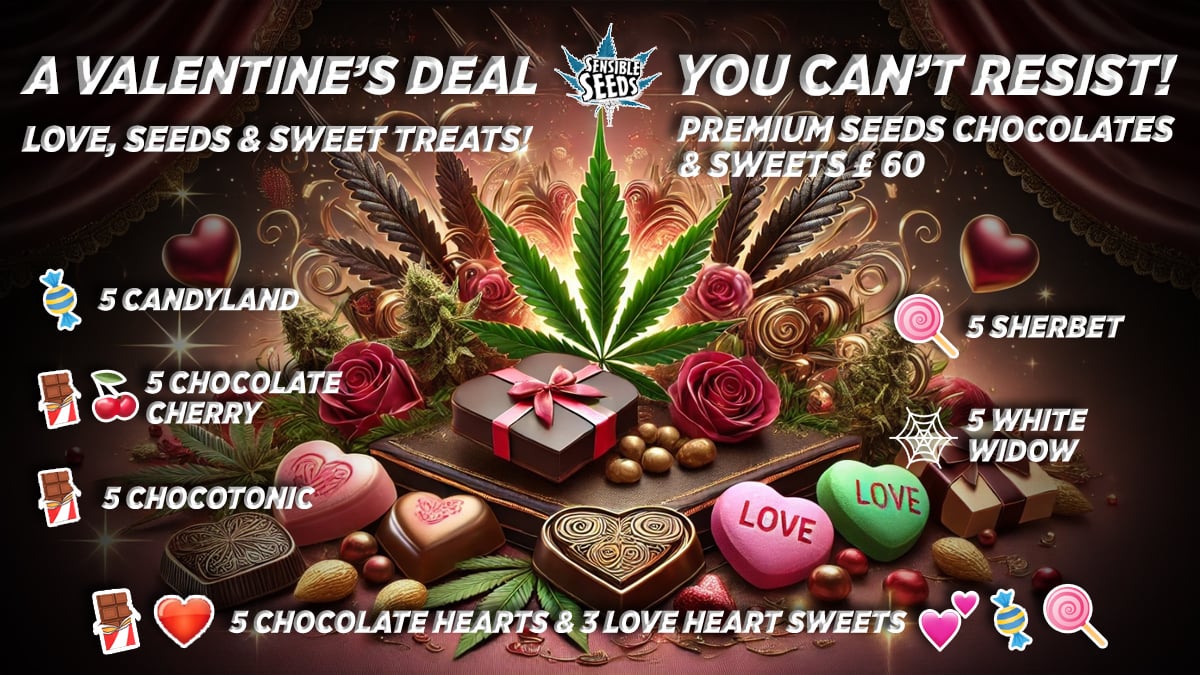 2025 Cannabis Seed Collection - VALENTINE'S DEAL