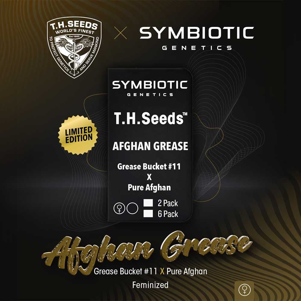 T.H.Seeds & Symbiotic Genetics - Afghan Grease - Feminized