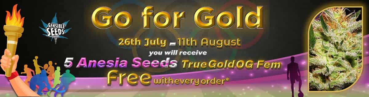 Go For Gold - With Our Olympic Offer - free Cannabis Seeds