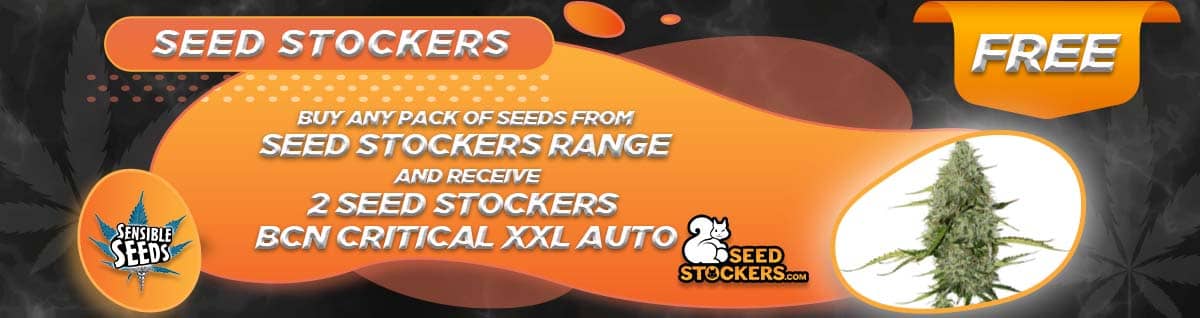 Seed Stockers Seeds Free Cannabis Seeds 