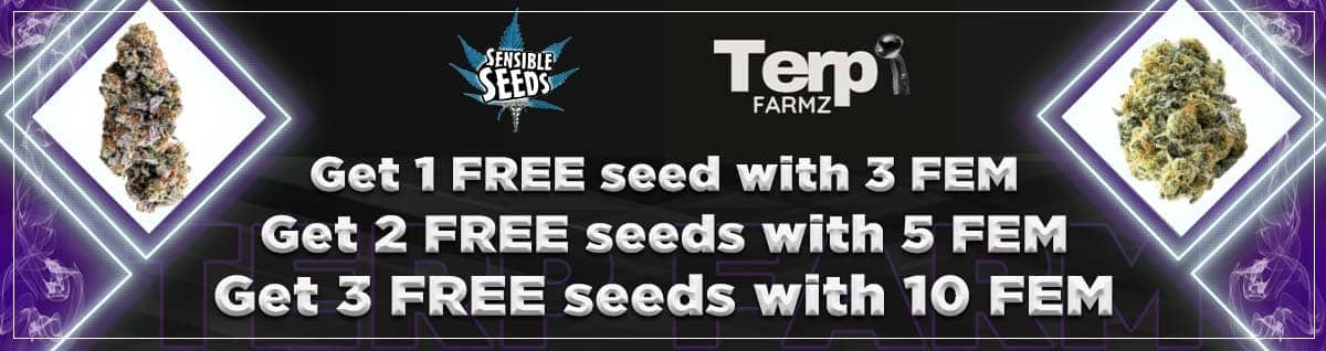 Terp Farmz Seeds - Free Cannabis Seeds