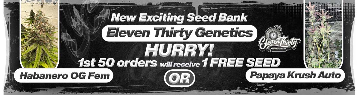 Seed Bank - : 1