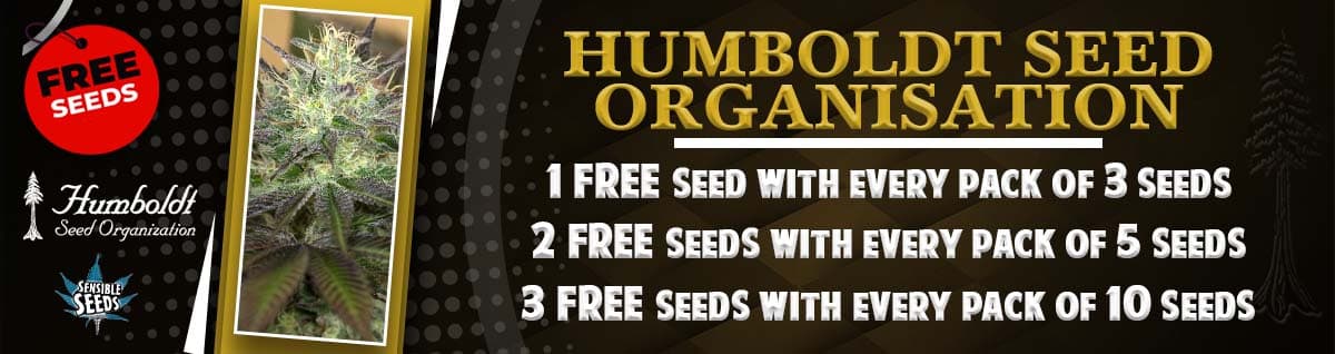 Seed Bank - : humboldt-seed-organisation