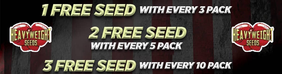 Seed Bank - : heavyweight-seeds