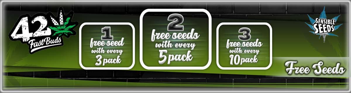 Seed Bank - : fastbuds-seeds