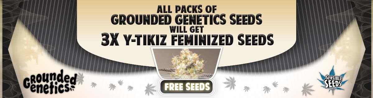 Seed Bank - : grounded-genetics