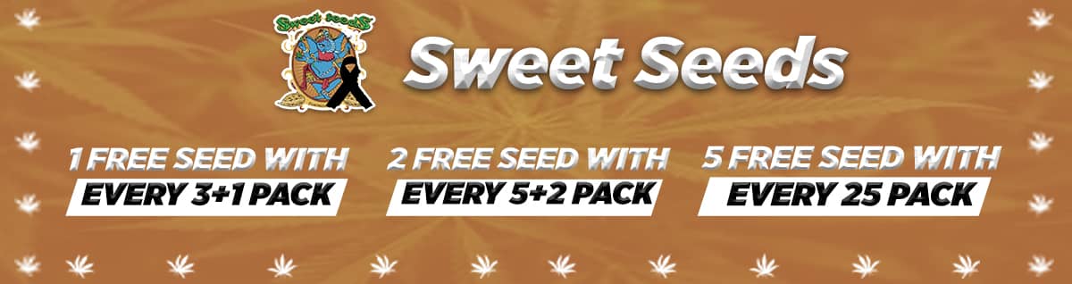 Seed Bank - : sweet-seeds